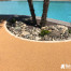Plage de piscine entourage d'arbres